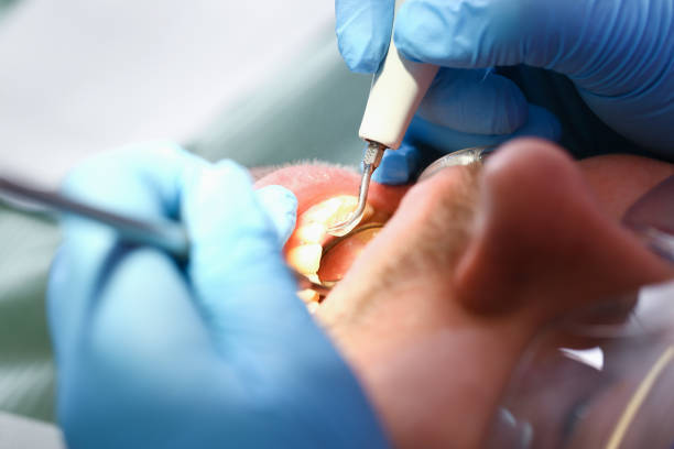 Best Emergency Orthodontic Services in Newk, AR